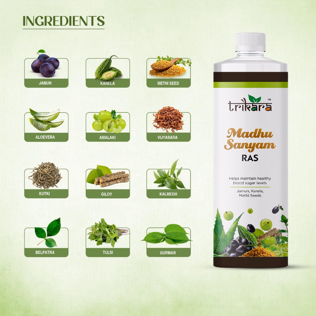 Trikara Madhu Sanyam Ras (250 ml | 1 L) - Image 4