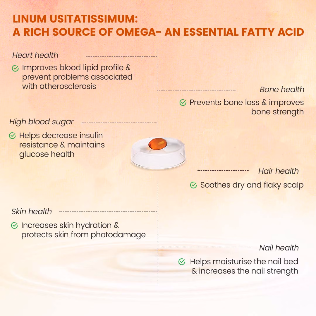 Nutricharge Veg Omega - Image 5